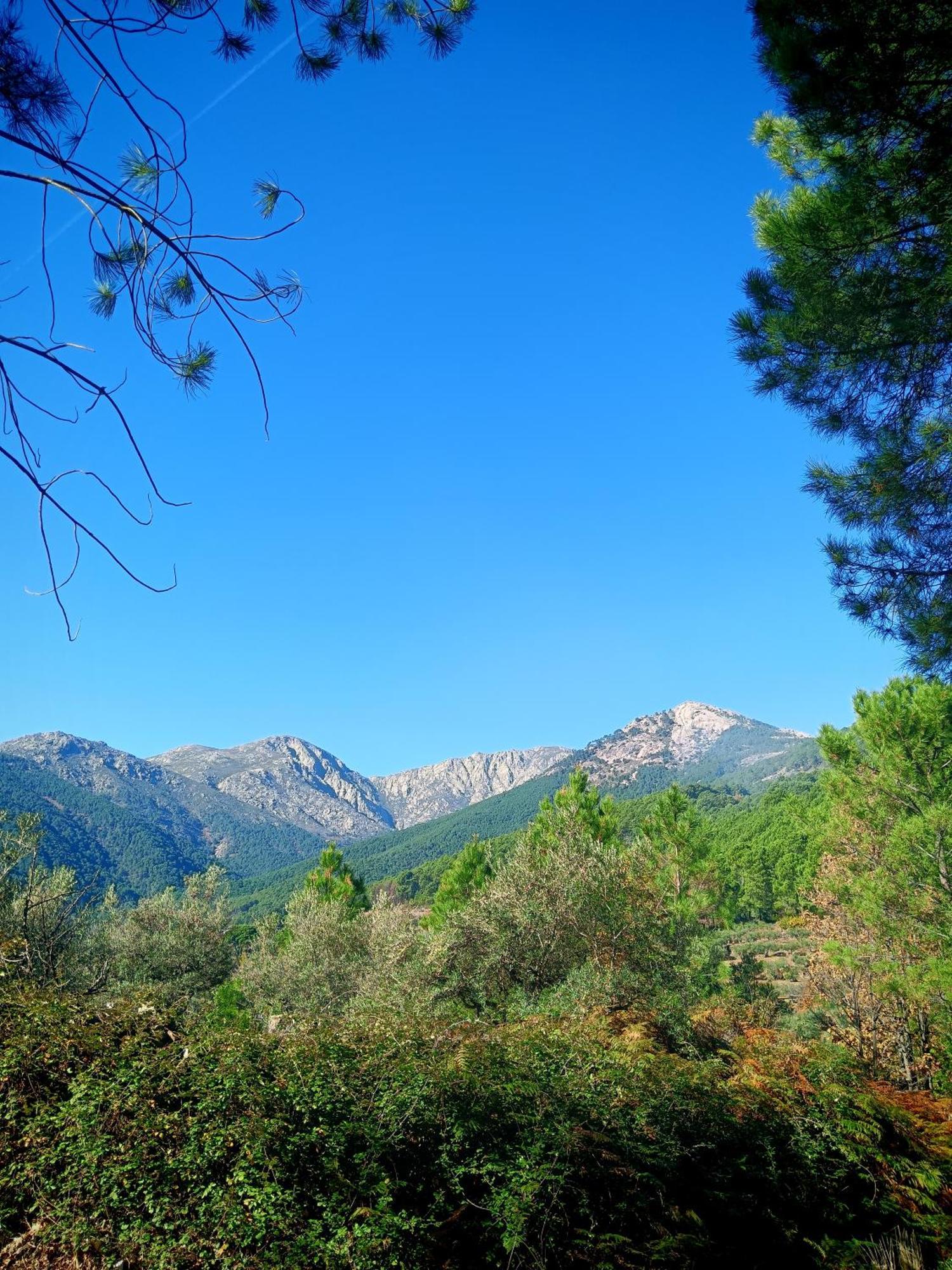 Estrellas De Gredos Arenas de San Pedro Ngoại thất bức ảnh